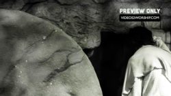 Read more about the article Jesus Is Risen Not Here In The Tomb