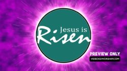 Read more about the article Still: Risen Jesus