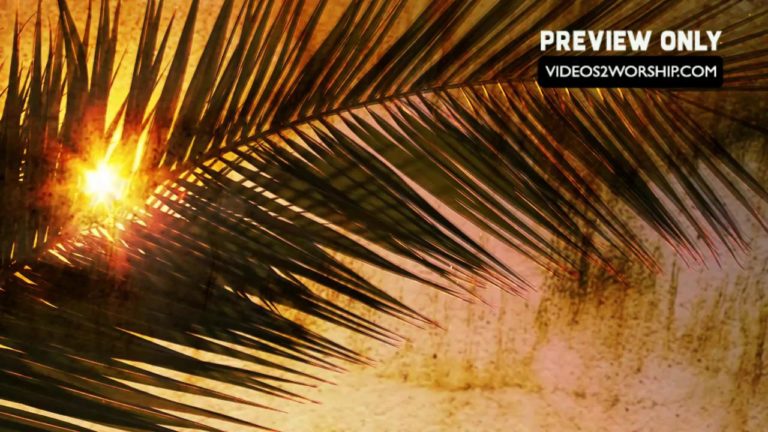 Read more about the article Palm Branch Hosanna Motion Worship Loop