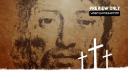 Read more about the article Still: Face Of Jesus