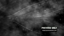 Read more about the article Ash Wednesday And Lent Worship Motion