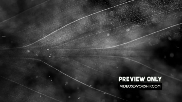 Read more about the article Ash Wednesday And Lent Worship Motion