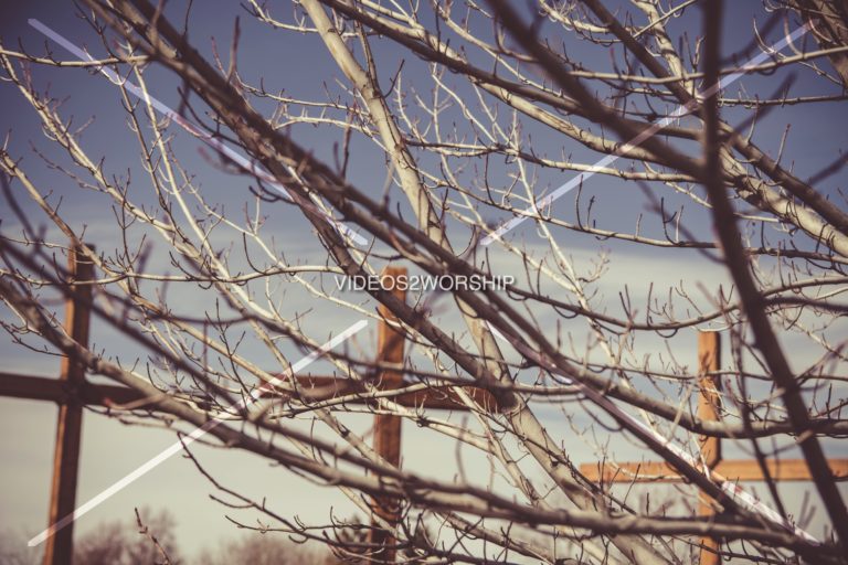 Read more about the article Stock Photography: Crosses And Branches