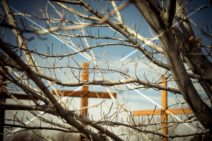 Tree Branches And Crosses
