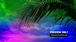 Read more about the article Free Palm Sunday Motion Worship Backdrop