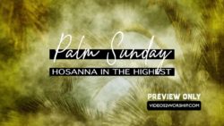 Read more about the article Hosanna In The Highest Palm Sunday Loop