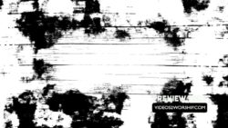 Read more about the article Still: Light And Darkness