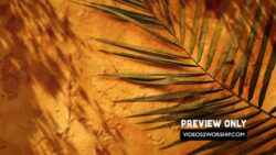 Read more about the article Palm Sunday Branch Textured Backdrop