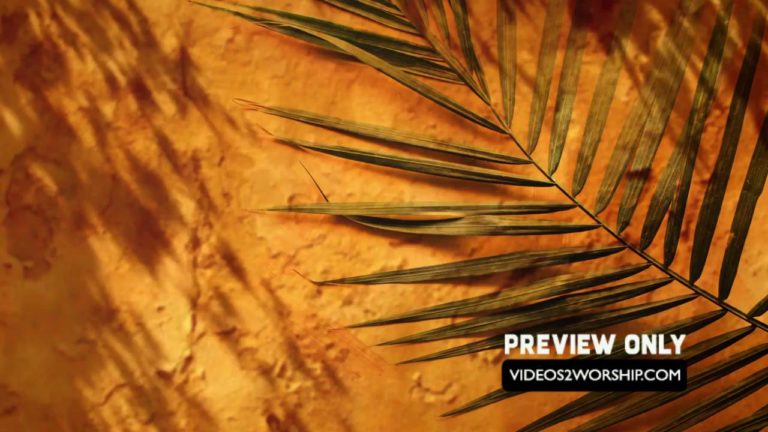 Read more about the article Palm Sunday Branch Textured Backdrop