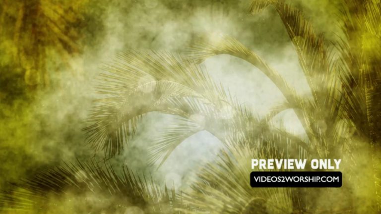 Read more about the article Palm Branches Seamless Worship Motion