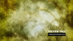 Still: Textured Palm Branches