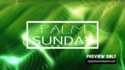 Read more about the article FREE Still: Palm Sunday Text