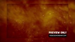 Read more about the article Still: Vintage Still