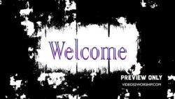 Read more about the article Still: Welcome Light Dark