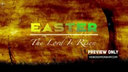 Still: Jesus Is Risen