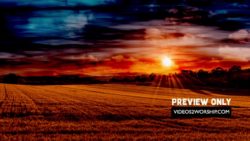 Read more about the article Resurrection Sunday Morning Worship Title