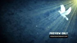 Read more about the article White Dove Motion Graphics Holy Spirit