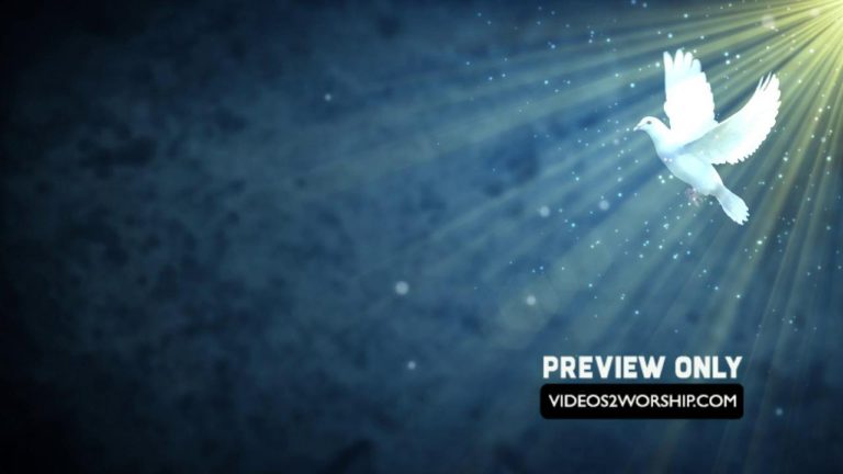 Read more about the article White Dove Motion Graphics Holy Spirit