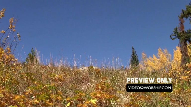 Read more about the article Free Autumn Motion Background Video