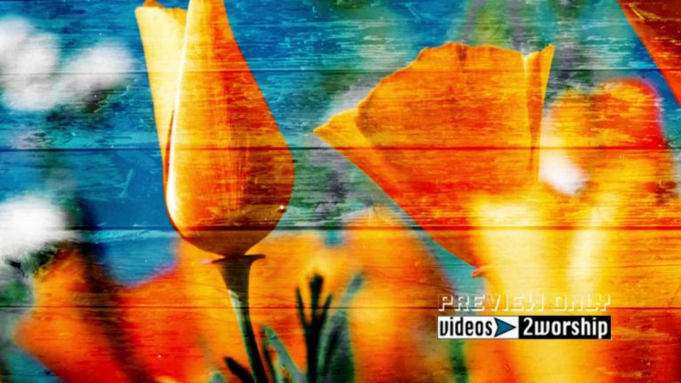 Read more about the article Spring Flowers Worship Graphics Loop
