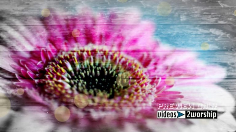 Read more about the article Still: Large Textured Flower