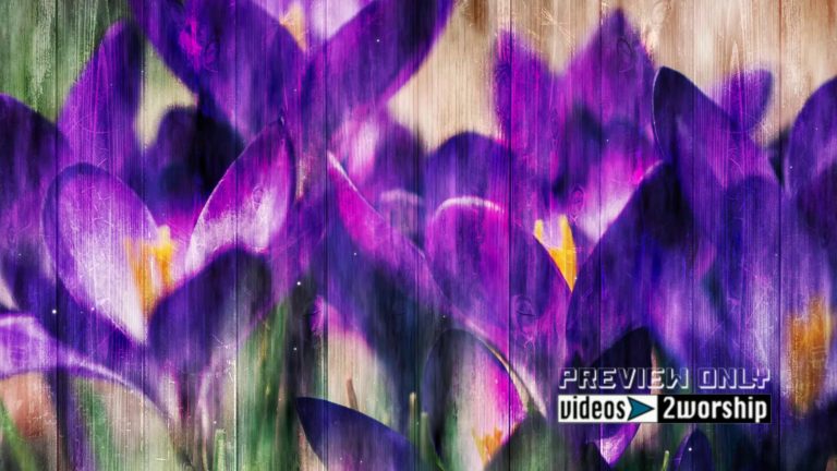 Read more about the article Spring Flowers Worship Graphics Motion