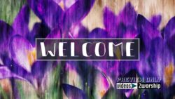 Read more about the article Welcome Title Graphics And Textured Flowers