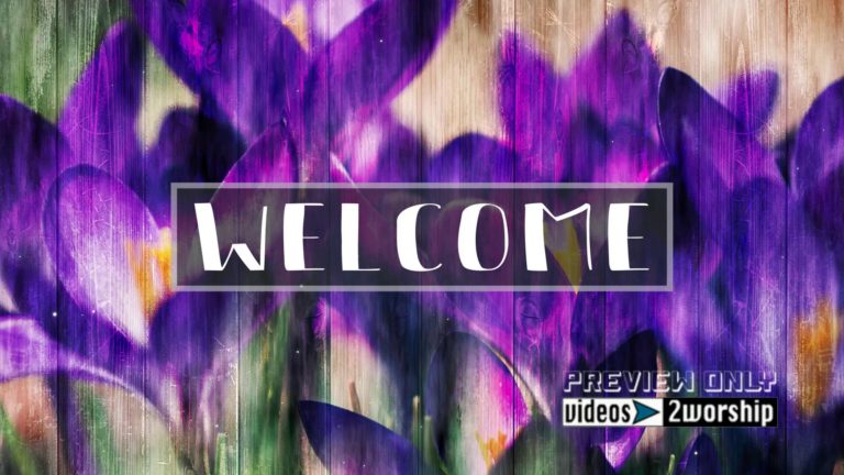 Read more about the article Welcome Title Graphics And Textured Flowers