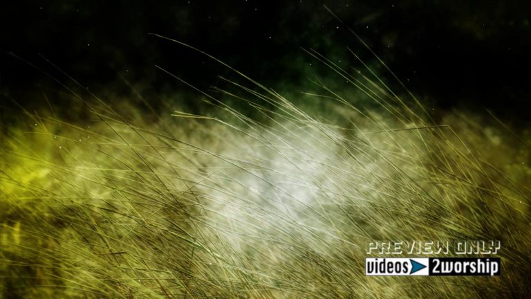 Read more about the article Grass Textured Worship Motion Graphics