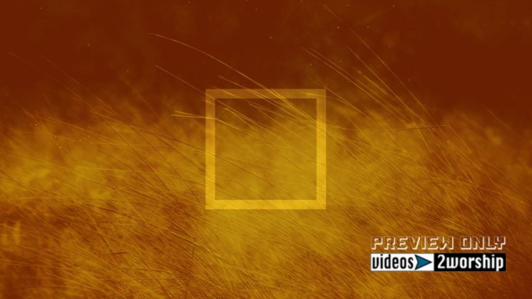 Read more about the article Grass Textured Orange Motion Background