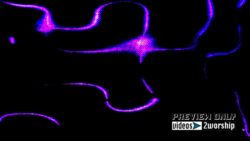 Read more about the article Purple Strings Over Textured Canvas Motion