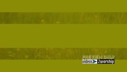 Read more about the article Summer Plants Motion Worship Graphics