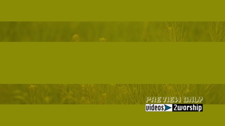 Read more about the article Summer Plants Motion Worship Graphics