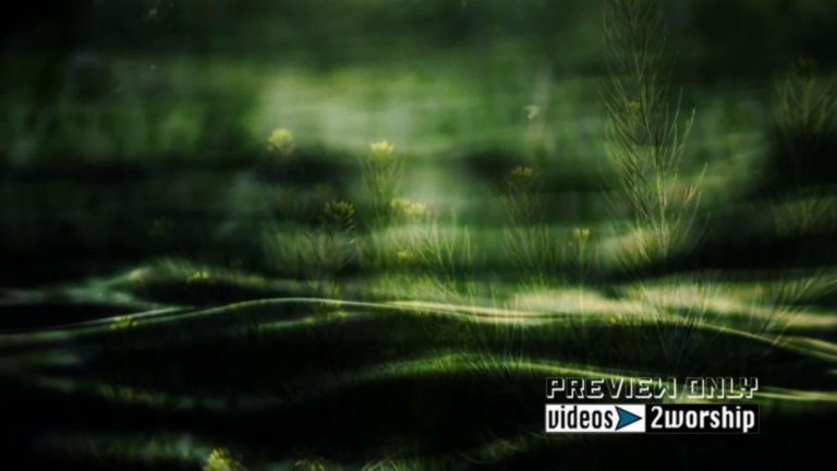 Read more about the article Textured Nature Motion Worship Backdrop