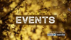 Read more about the article Still: Golden Leaves Events