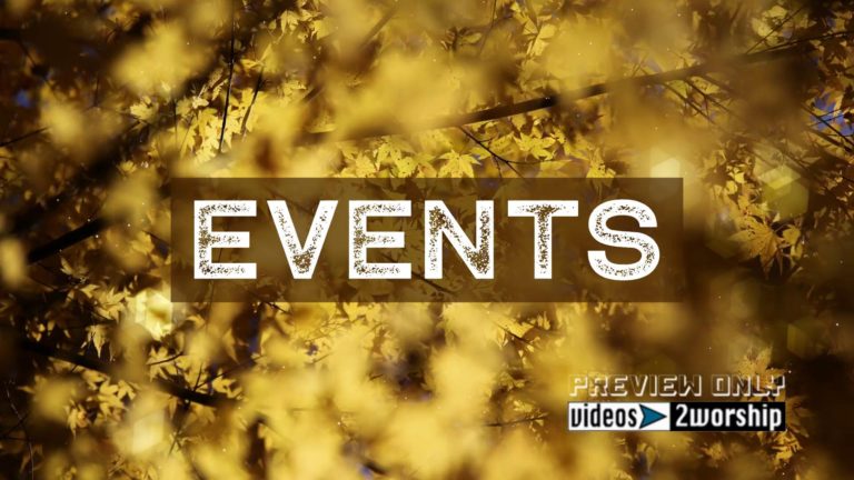 Read more about the article Still: Golden Leaves Events