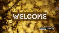 Read more about the article Autumn Welcome Golden Leaves Motion Loop