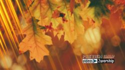 Read more about the article Autumn Colorful Large Leaves Motion Graphics