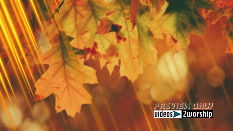 Read more about the article Autumn Colorful Large Leaves Motion Graphics