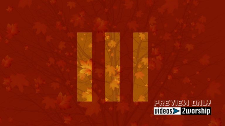Read more about the article Autumn Red Graphics Falling Leaves Motion