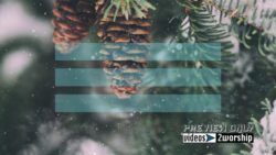 Read more about the article Winter Holidays Evergreen Cones Motion