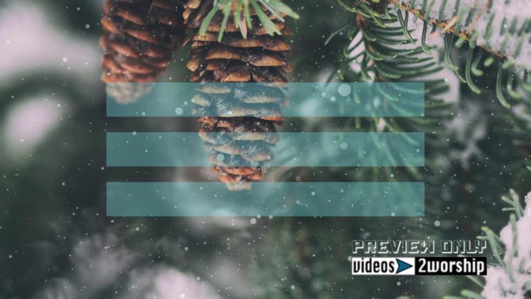 Read more about the article Winter Holidays Evergreen Cones Motion