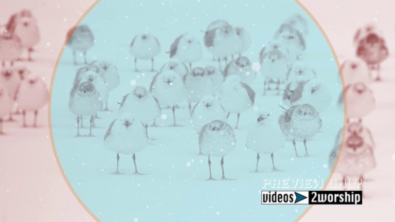 Read more about the article Winter Holidays Birds And Snow Graphics