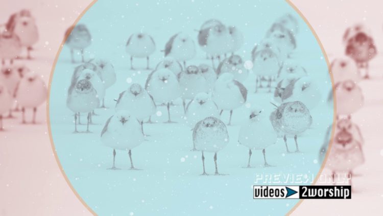 winter Holidays Birds And Snow Graphics