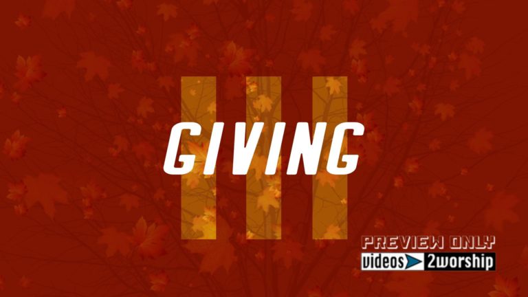 Read more about the article Giving Title Graphics Falling Large Leaves