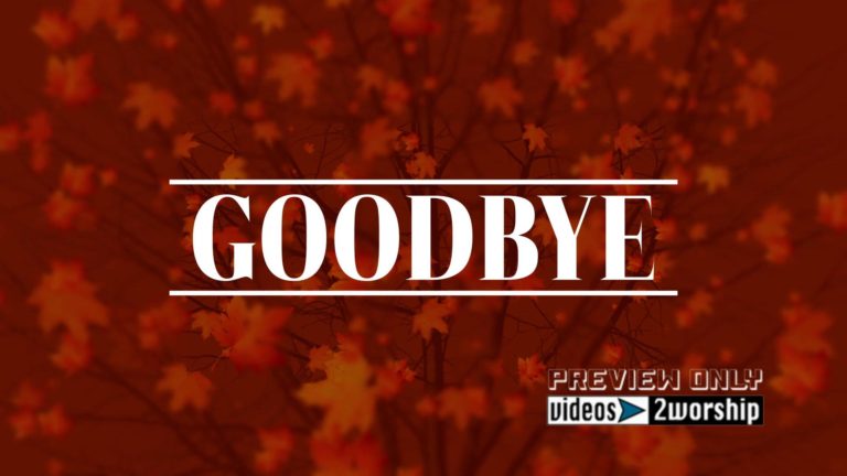 Read more about the article Goodbye Large Leaves Autumn Tree Motion