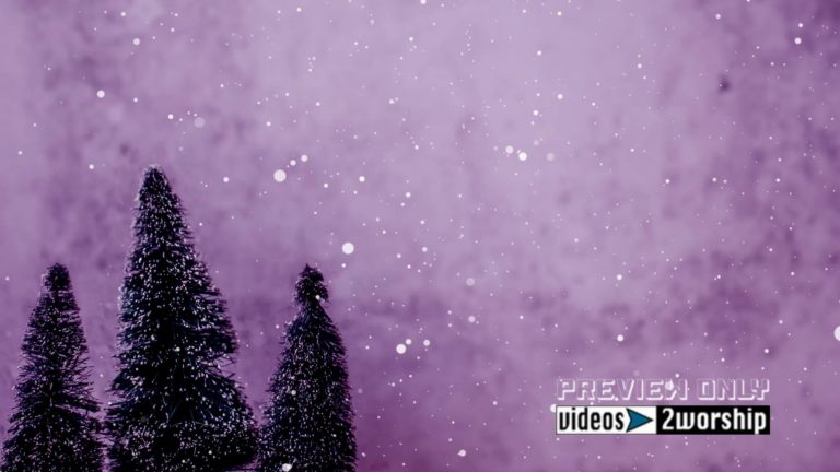 Read more about the article Three Christmas Holidays Trees And Snow