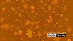 Read more about the article Large Golden Leaves Fall Motion Graphics