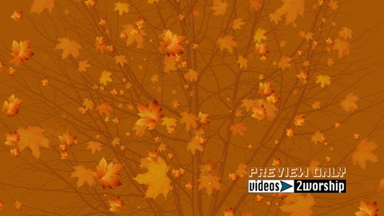 Read more about the article Large Golden Leaves Fall Motion Graphics