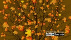 Read more about the article Falling Large Golden Leaves Autumn Tree